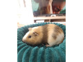 morcata-vybava-small-3