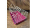 predam-originalnu-klietku-ferplast-cavie-60-pre-morca-small-1