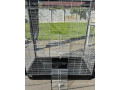predam-velku-klietku-pre-hlodavce-small-1