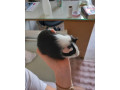 posledne-morciatko-samicka-small-3