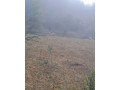 predam-jahnacie-maso-small-1