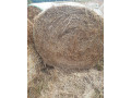 predam-slamu-small-0
