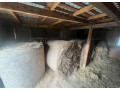 predam-seno-small-1