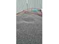 predam-slnecnicu-33kg-mocenok-small-0