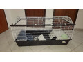 klitka-pre-hlodavcov-small-3