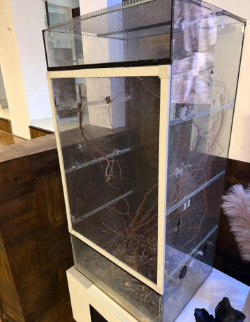 terariumflexarium-120x60x50-vxsxh-big-2