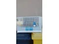 predam-klietky-pre-drobne-vtactvo-small-0