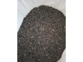 slnecnica-small-0