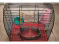 predame-klientku-pre-skrecka-small-1