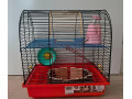 predame-klientku-pre-skrecka-small-0