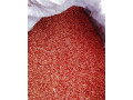 morena-psenica-small-0