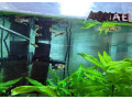 aquarium-zabehnute-small-2