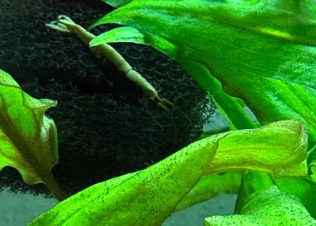 aquarium-zabehnute-big-3
