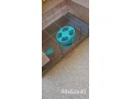 velka-klietka-pre-skrecka-985240-kolotoc-29-cm-wc-small-0