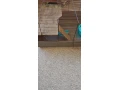velka-klietka-pre-skrecka-985240-kolotoc-29-cm-wc-small-2