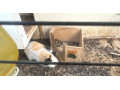 morcata-small-1