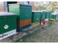 predam-vcely-small-1