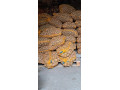 predam-krmne-zemiaky-small-1