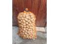 zemiaky-na-sadbu-small-0