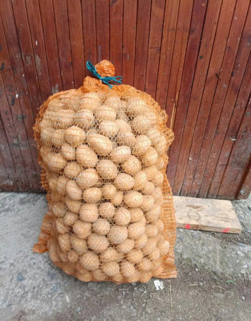 zemiaky-na-sadbu-big-0