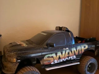 swamp