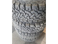 bf-goodrich-small-1