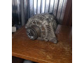 alternator-renault-scenic-19-dci-8200107686-small-0