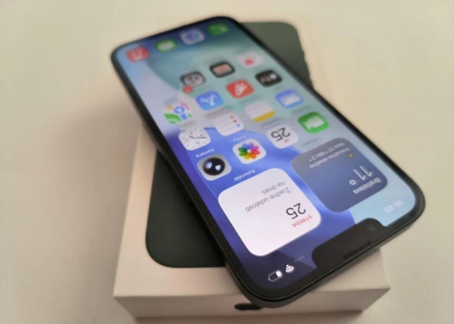 apple-iphone-13-mini-128gb-green-bateria-100-big-1
