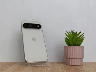 google-pixel-9-256gb-100-bateria-displej-ako-novy-zar