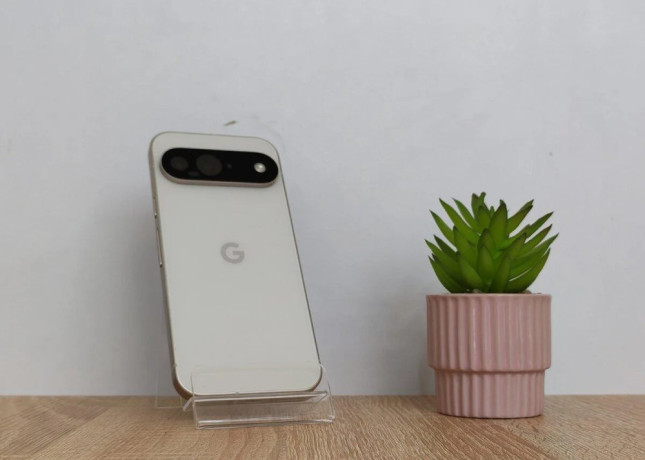google-pixel-9-256gb-100-bateria-displej-ako-novy-zar-big-0