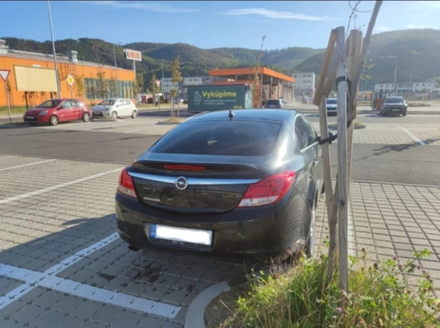 opel-insignia-opel-insignia-20-cdti-big-1