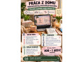 praca-z-domu-administrativny-pracovnikpracovnicka-small-0