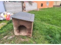 buda-pre-psa-small-1