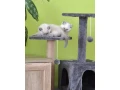 macky-color-point-small-1