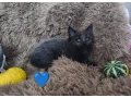 mainska-myvalia-bez-pp-small-1