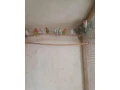 papagaje-small-0