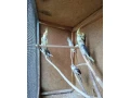 predam-korely-small-2