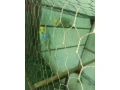 andulky-small-0