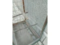 predam-klietku-pre-papagajov-small-3
