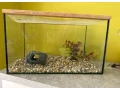 akvarium-small-0