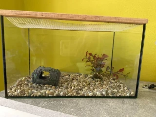 akvarium