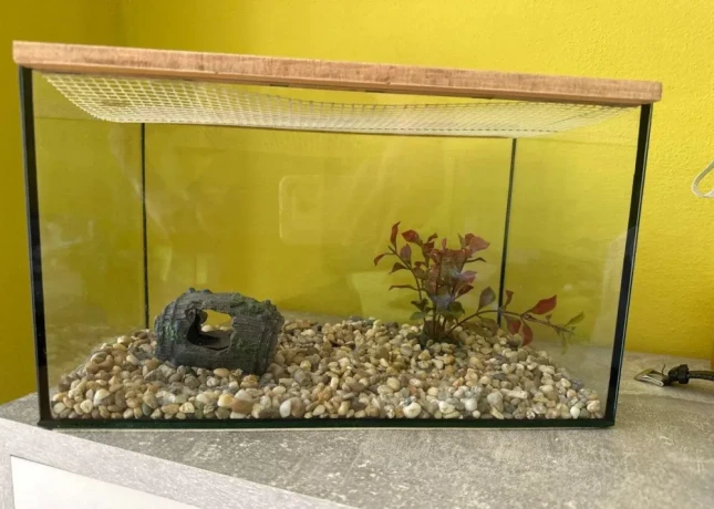 akvarium-big-0