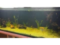 ponukam-aqarium-700l-small-1