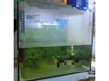 akvaria-small-1