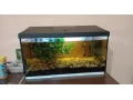 predam-akvarium-small-0