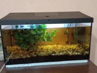 predam-akvarium