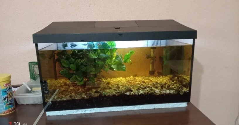 predam-akvarium-big-0
