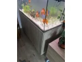akvarium-small-0