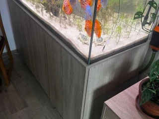 akvarium