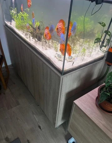 akvarium-big-0